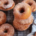 Cinnamon Sugar Doughnuts