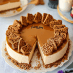 No-Bake Lotus Biscoff Cheesecake