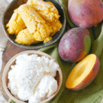 Mango Frozen Greek Yogurt