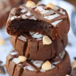 Healthy Peanut Butter Greek Yogurt Chocolate Fudge Cookies