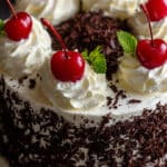 Black Forest Cherry Chocolate Cake