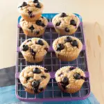 Healthy Blueberry Muffins for Babies and Toddlers