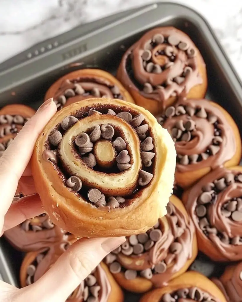 Chocolate Cinnamon Rolls with Chocolate Cream Cheese Icing