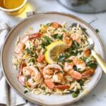 Lemon Garlic Shrimp with Orzo