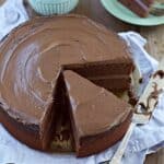 Molasses Chocolate Cake (Egg & Dairy-Free)