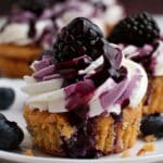 Blueberry Cheesecake Ice Cream Cupcakes