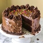 Chocolate Sprinkle Cake