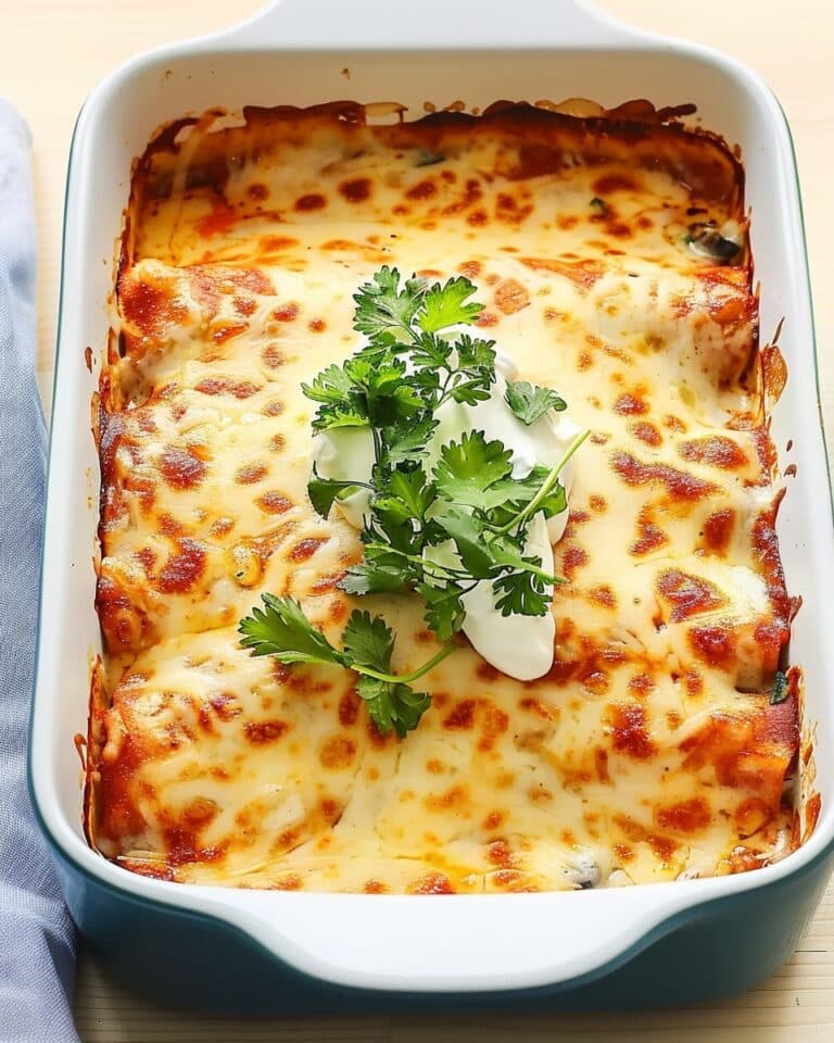 Sour Cream Chicken Enchiladas