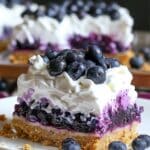 Sugar-Free No-Bake Blueberry Pie