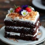 Summer Chocolate Cake with Coconut Whipped Frosting