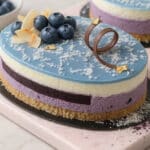 Coconut Blueberry Entremet