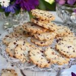 Chocolate Chip Shortbread Cookies (Gluten-Free & Vegan)