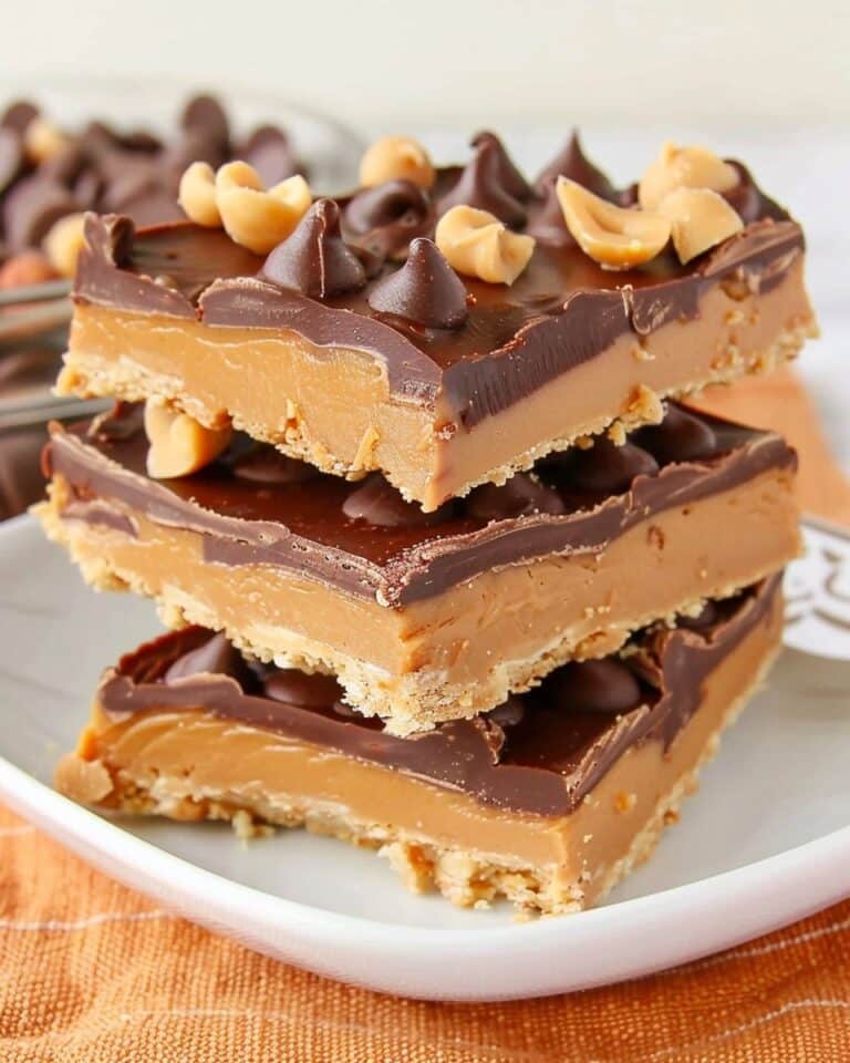 Chocolate Peanut Butter Protein Bars