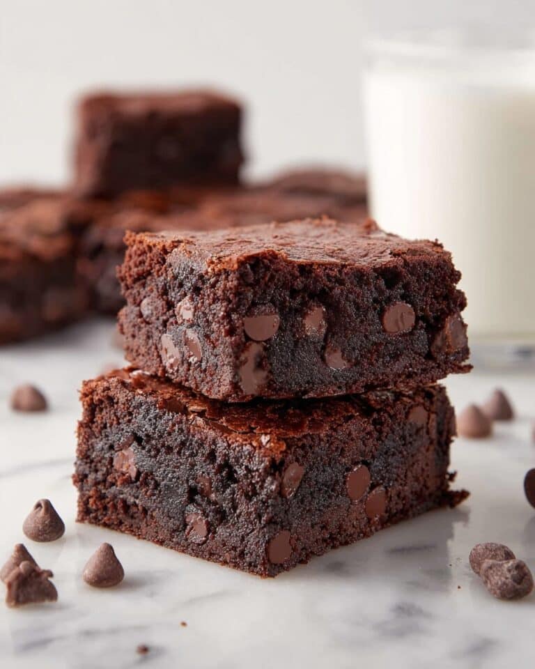 Fudgy Chocolate Chip Brownies Recipe