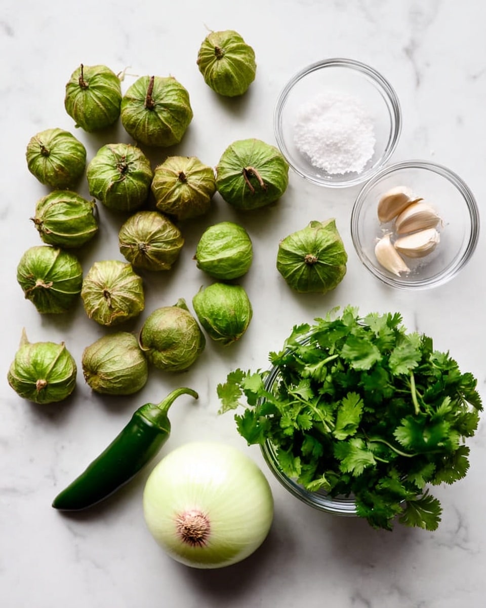 The image shows a white marbled surface with fresh green tomatillos, both husked and with husk, scattered on the left side. On the right side, there are small clear glass bowls holding white salt and three cloves of garlic, a clear glass bowl filled with fresh green cilantro leaves, a whole white onion, and a single dark green chili pepper. Everything is neatly arranged with a simple and clean look. Photo taken with an iphone --ar 4:5 --v 7