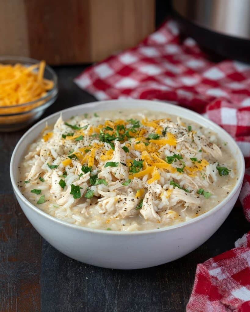 Slow Cooker Creamy Chicken and Rice Recipe