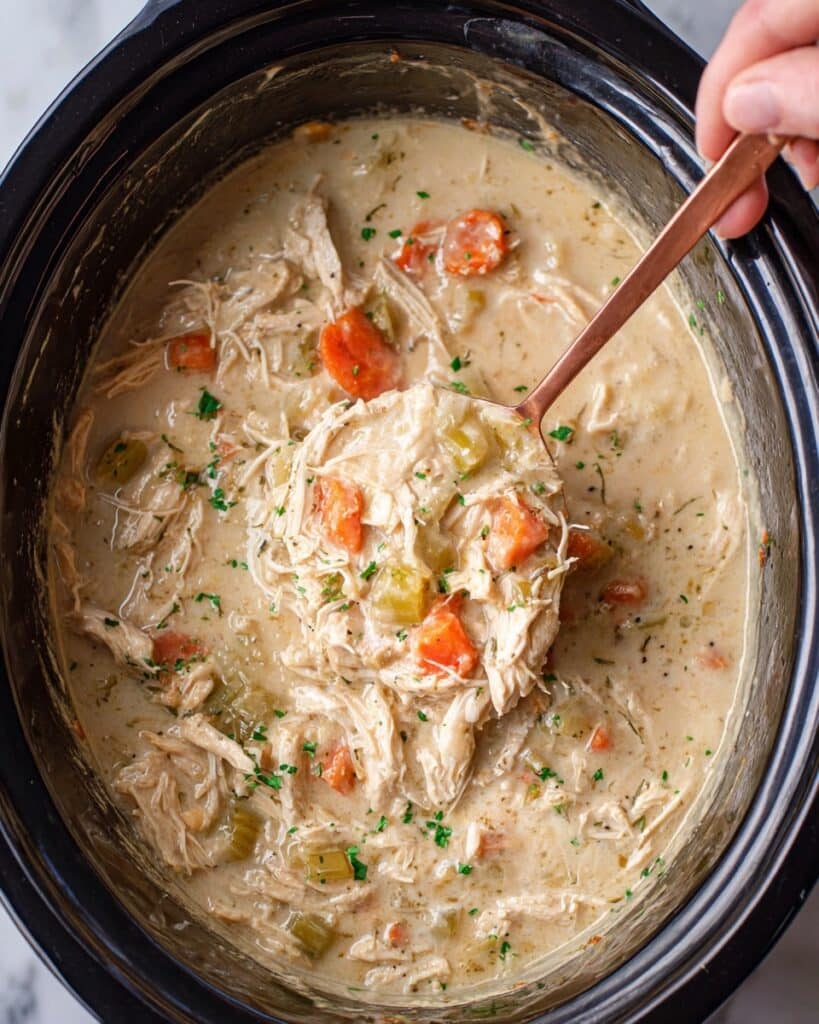 Slow Cooker Chicken and Dumplings Recipe