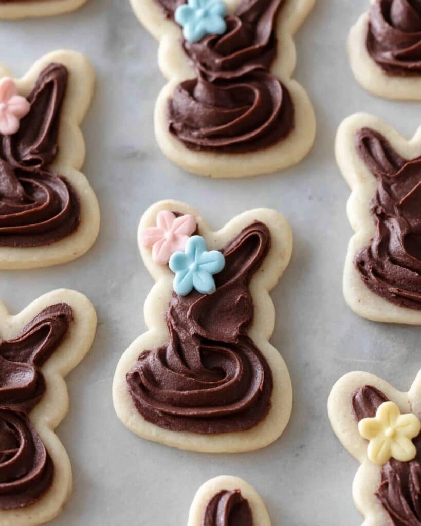 Frosted Chocolate Bunny Cookies Recipe